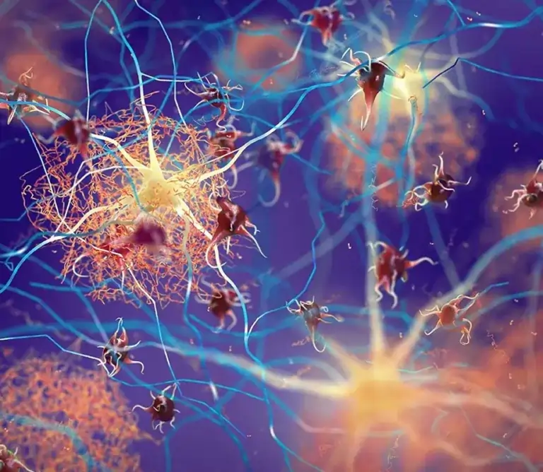 Neurons